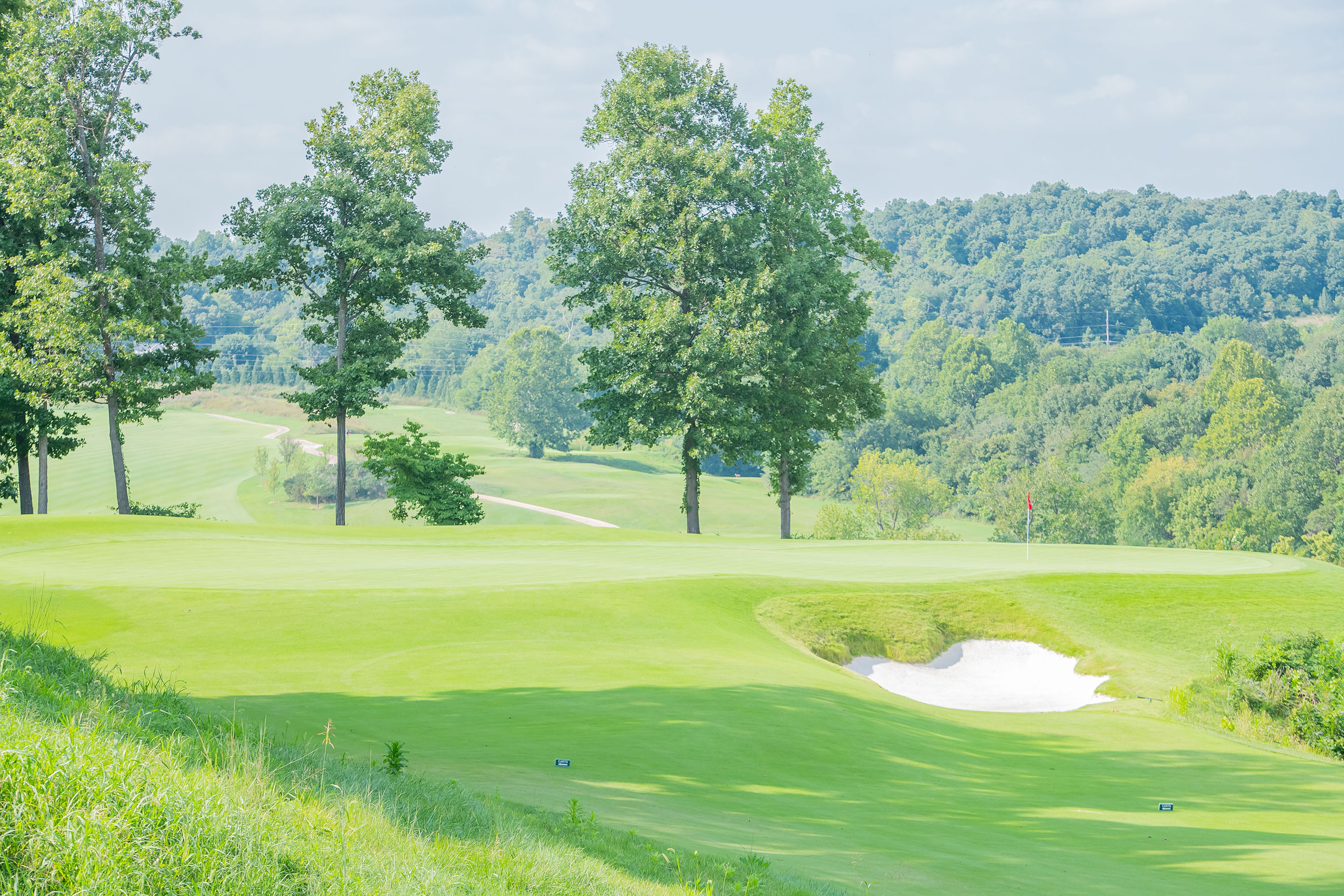 The green of a golf course and trees