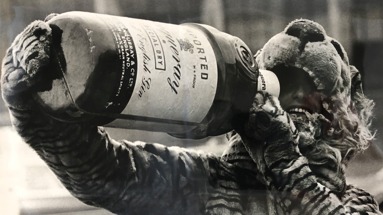 MASCOT_Oh Gin.jpg The Tiger mascot pretends to down a large bottle of gin in an undated photo.