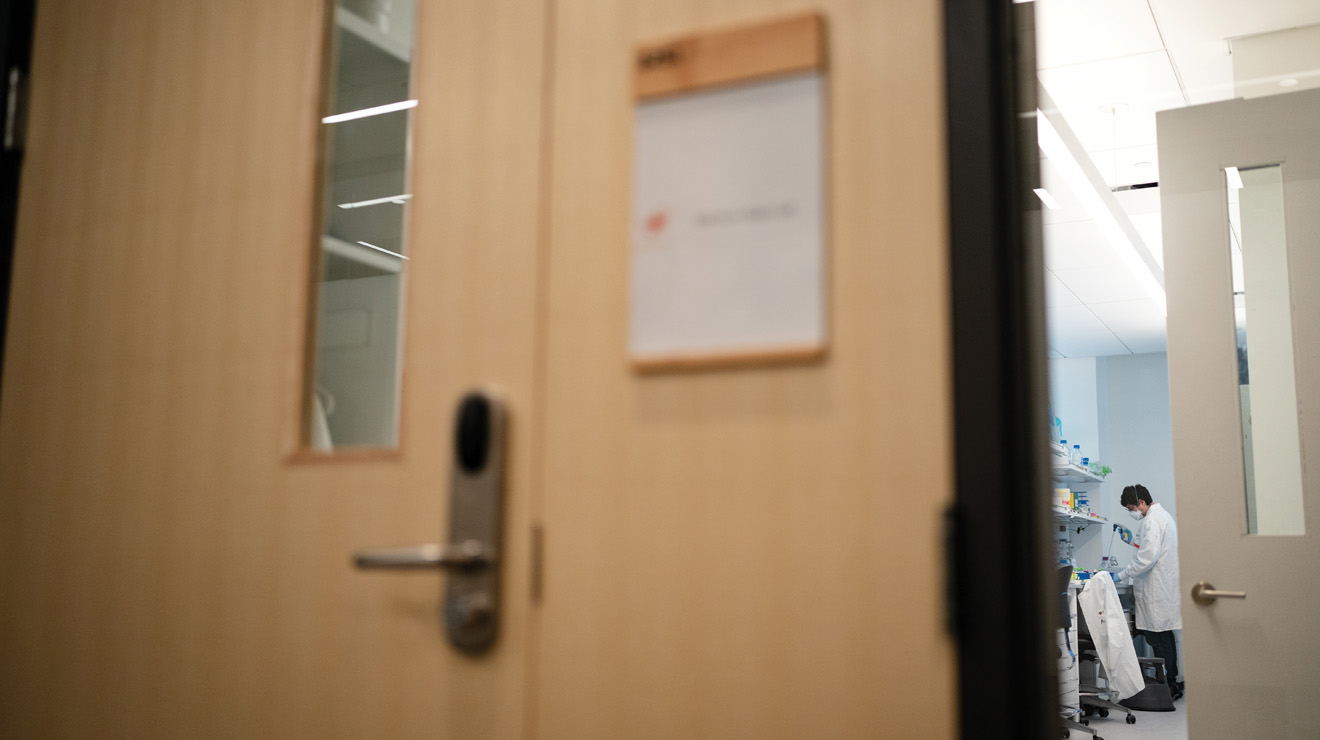 ES AND SEAS_Lab.jpg A glimpse inside one of the new labs at the Omenn-Darling Bioengineering Institute.