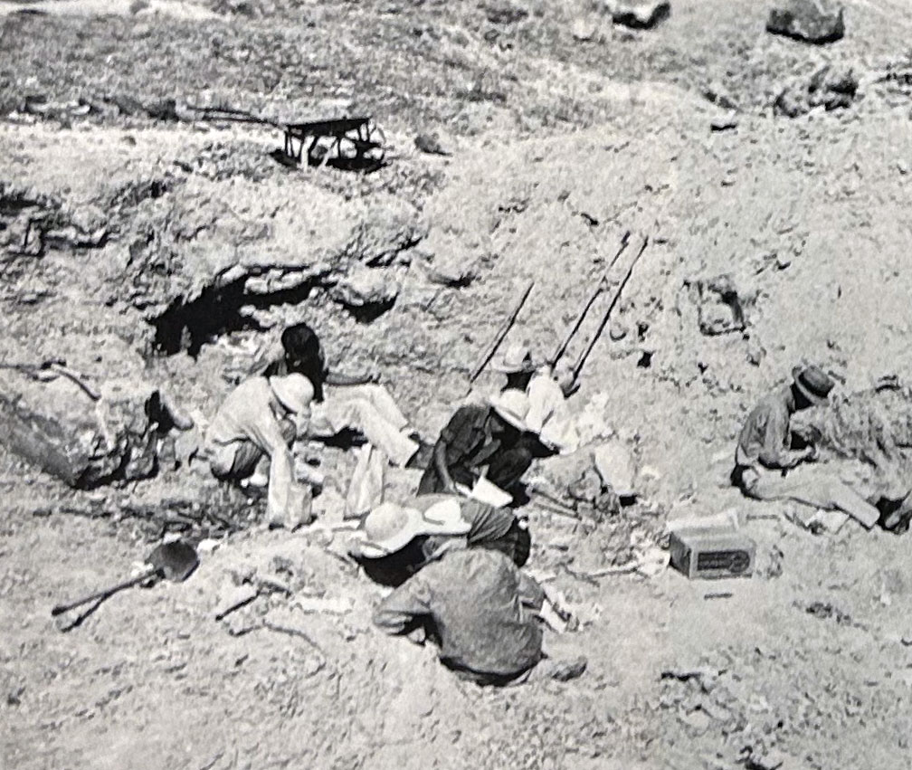 Princeton paleontologists at work in Utah, 1941.