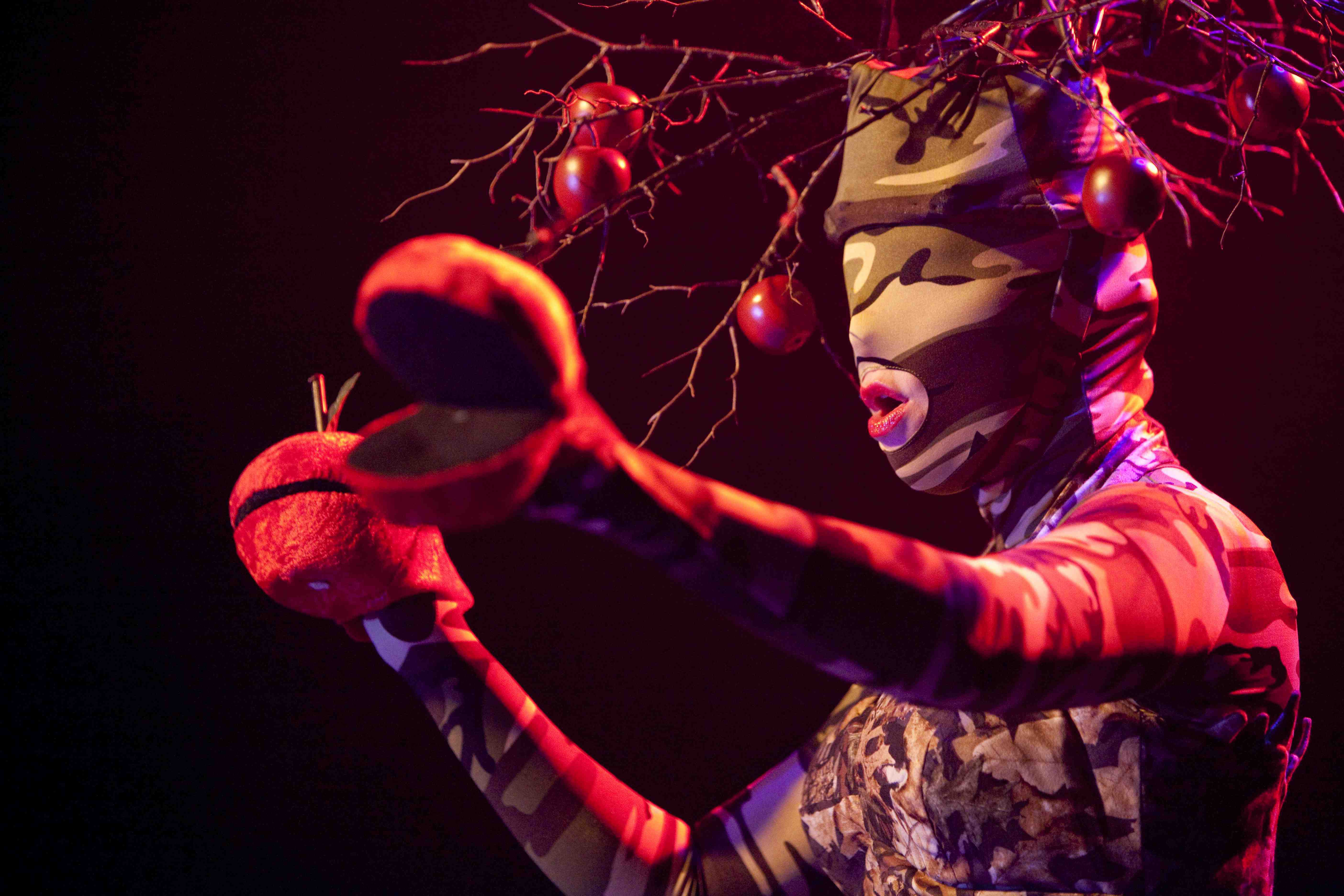 The apples that sing, from "The Green Bird," 2011.