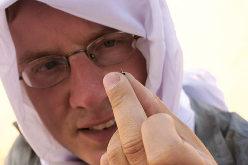 Couzin admires an ant, one of his favorite research subjects.