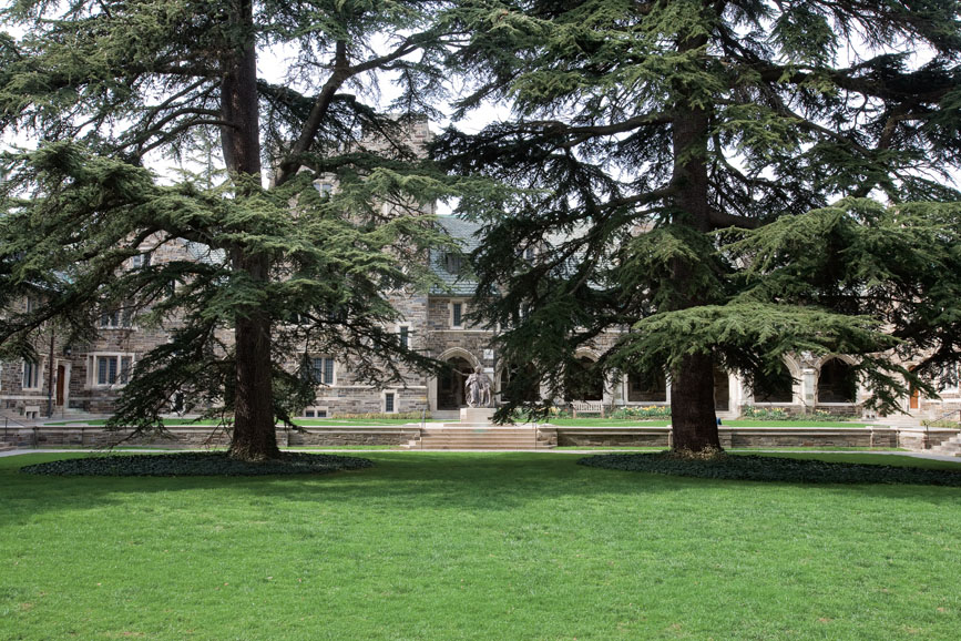 These two cedars of Lebanon were grown from seeds collected by Harvard University in the Cilician Mountains in southern Turkey, and were gifts to Dean Andrew Fleming West 1874 from Charles Sargent Sprague, who mentored Farrand. West, whose statue is in t