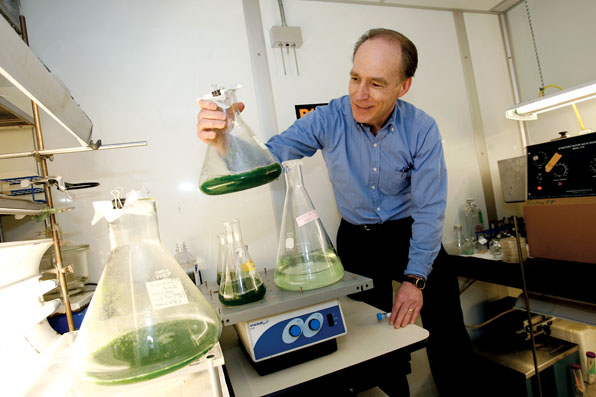 Professor Charles Dismukes examines bacteria and algae that could produce green fuels or fuel precursors.