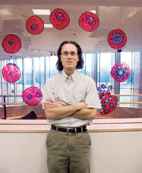 Assistant professor Manuel Limas hopes to find ways to break the malaria parasite's 48-hour cycle, depicted in the illustrations at Icahn Lab.