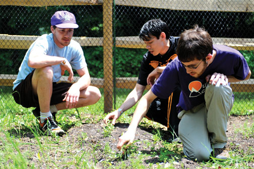 LIVE.R-Elgin_garden0331.jpg ORGANIC GARDENING: Students and alumni work together at Forbes College.