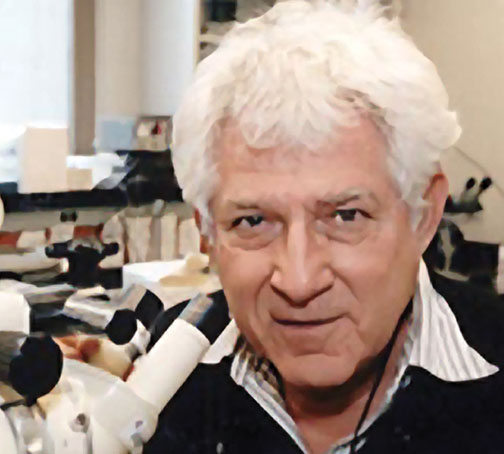 NB_ObitSteinberg.jpg Malcolm S. Steinberg