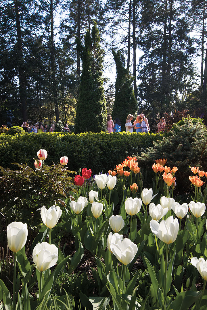 On the Campus ‘Impressions of Liberty’ Princeton Alumni Weekly