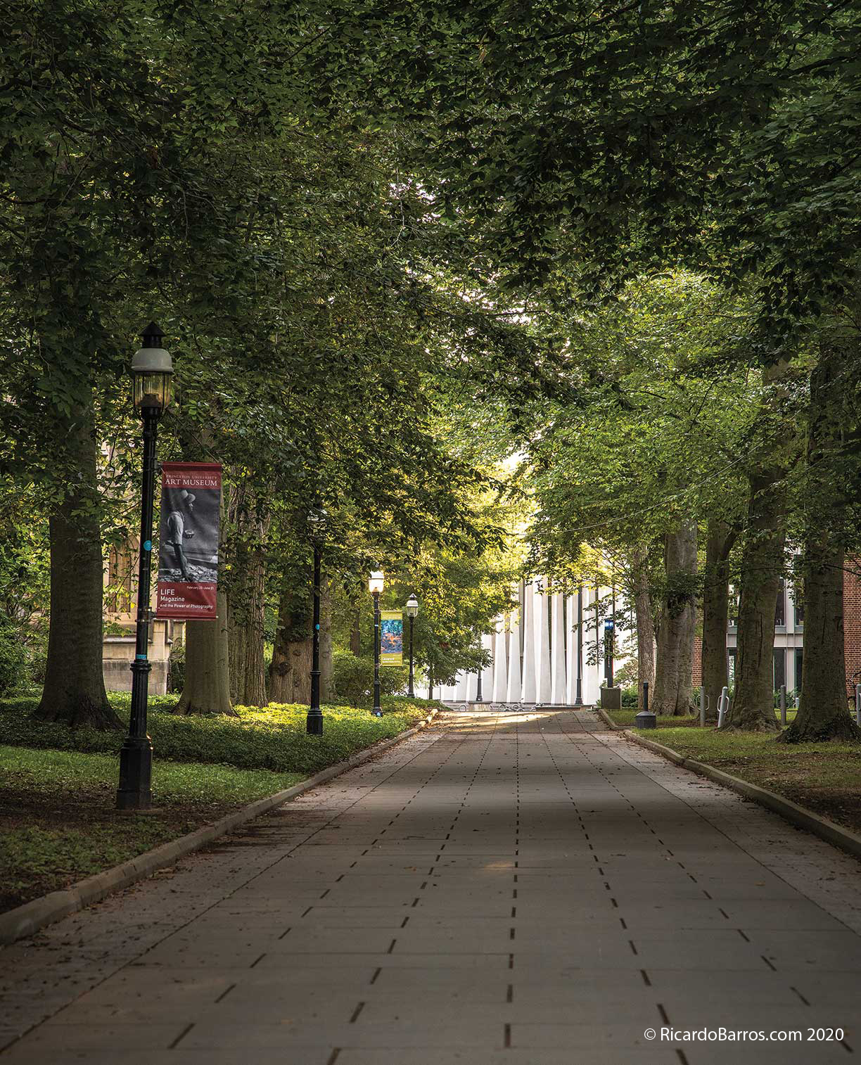 On the Campus: McCosh Walk | Princeton Alumni Weekly