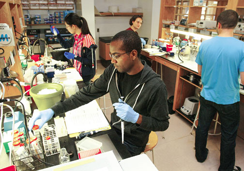 Through its Program for Diversity and Graduate Recruitment, the Department of Molecular Biology, in collaboration with the Lewis- Sigler Institute for Integrative Genomics, has made great strides in diversifying its graduate student body.