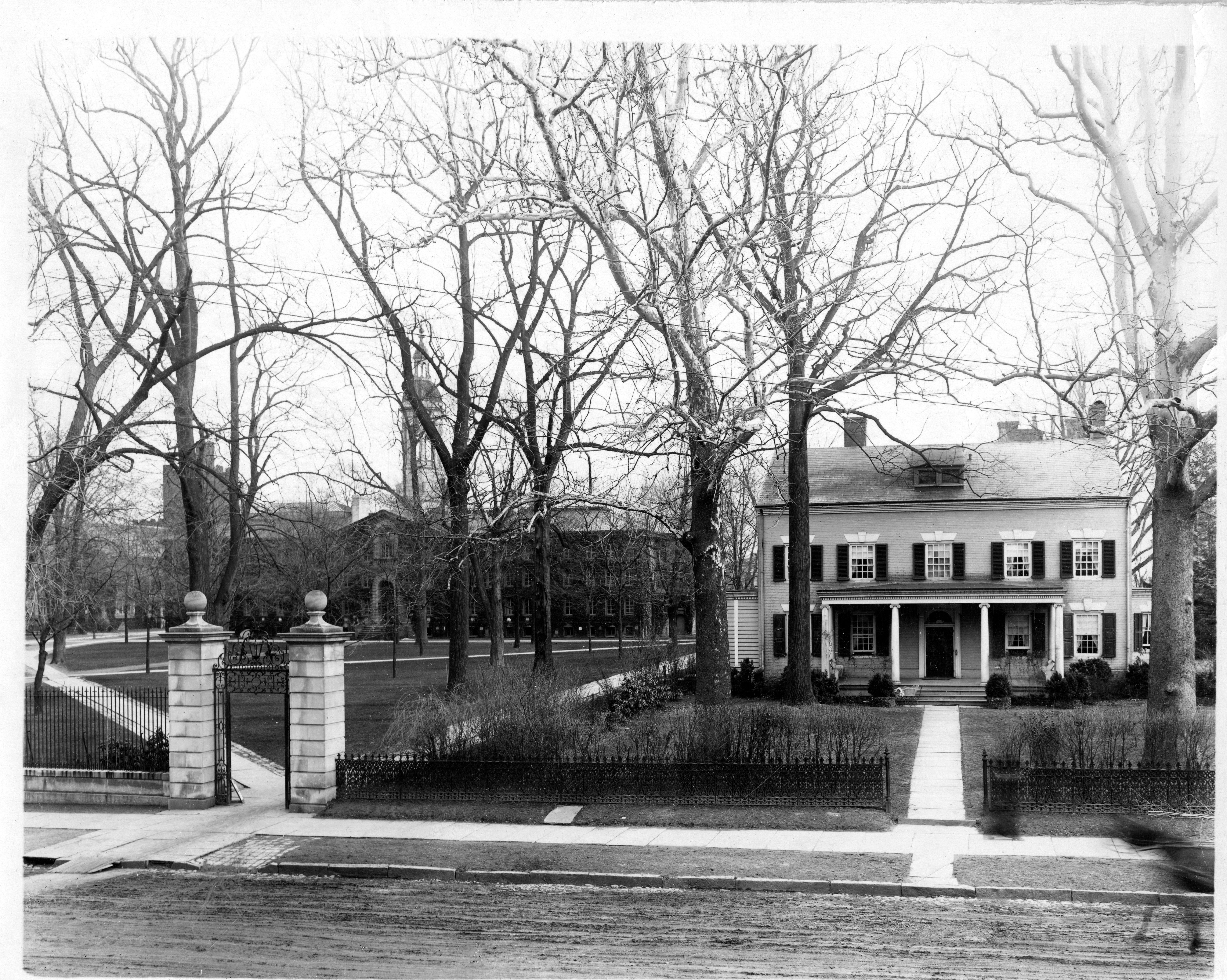 Maclean House with sycamores (1914): No ballplaying 