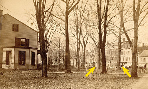 Trees-MacleanBoxSP05-Item1182.jpg ca. 1868