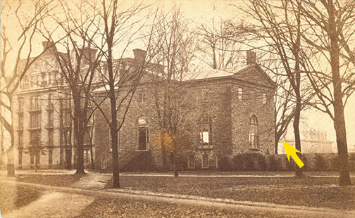 Trees-StanhopeBoxSP06-Item1531.jpg ca. 1875