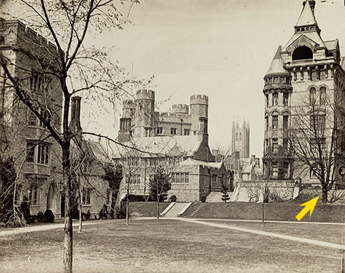 Trees-WitherspoonBoxMP19-Item438.jpg 1912