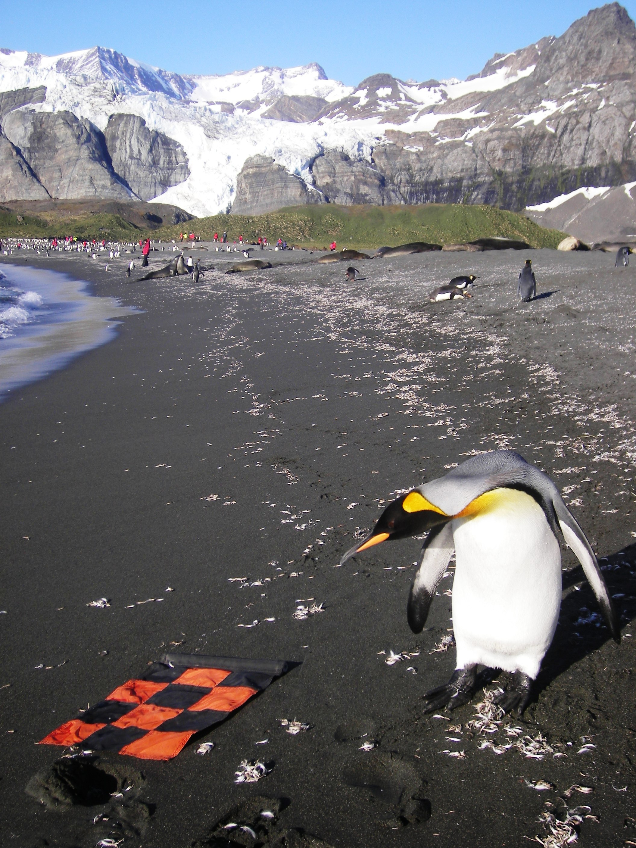 i-6bf65ede08f092c0d69ddd161d40991d-south georgia 214.jpg