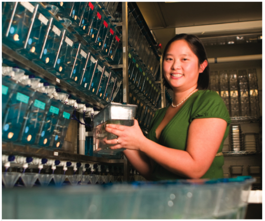 Shin-Yi Lin, surrounded by the zebrafish that promise to yield new insights into the early development of vertebrate embryos.