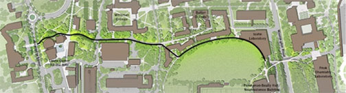 Tilghman Walk: The P-rade path more traveled by