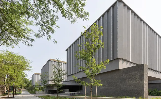 The ‘Encyclopedic’ Museum, Reimagined at Princeton