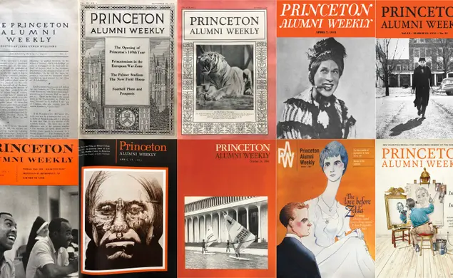 A selection of 10 old PAW covers, many with orange.