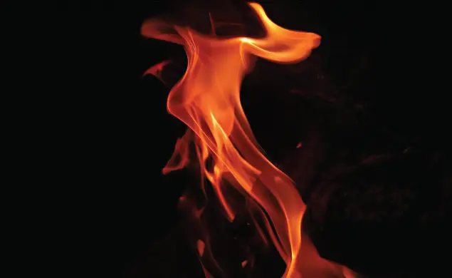 Exit-Garden-State_John_Hennessy.jpg Black cover with the title Exit Garden State above and author John Hennessy below with a fire in the background.