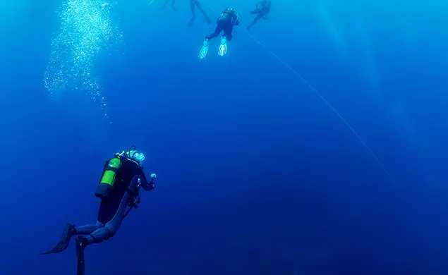 In the Early ’60s, the First Semester at Princeton Caused a Case of the Bends