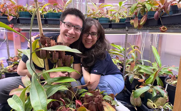 Kevin Zhang ’16’s Carnivorous Plant Society Holds Its First Show Kevin Zhang ’16’s Carnivorous Plant Society Holds Its First Show