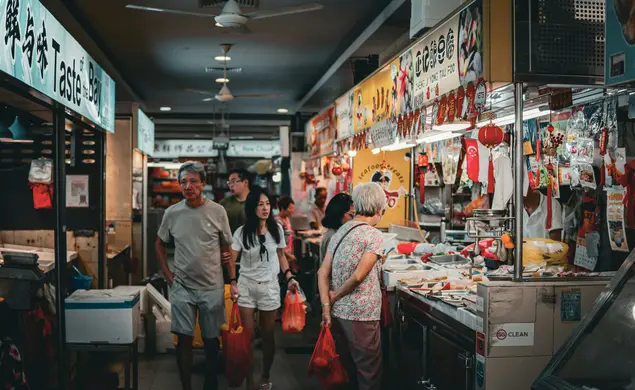 A Tiger’s Guide for a Two-Day Layover in Singapore 