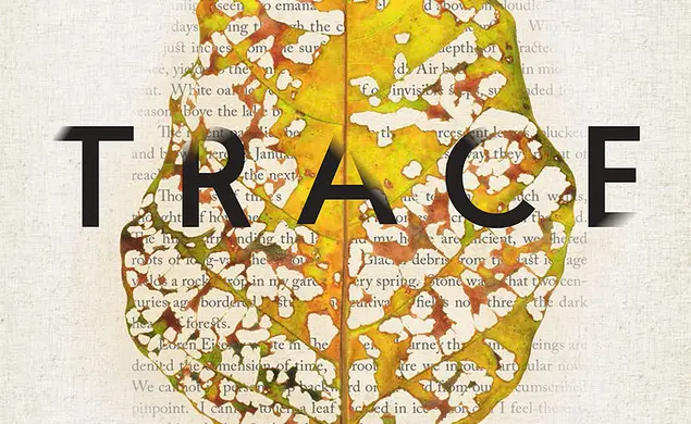 6trace.jpg