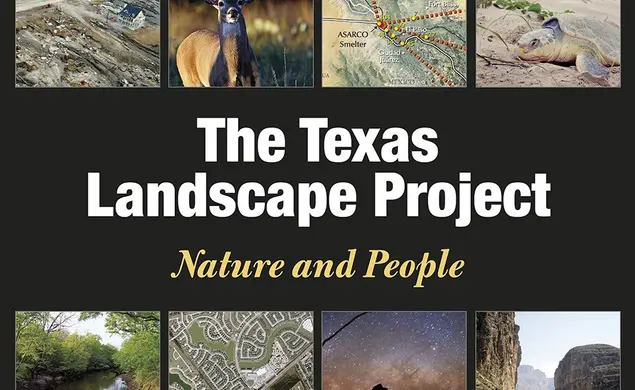 texas-landscape-project.jpeg
