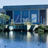 Alumni Developed a Way to Remove Microplastics From Waterways