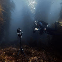 Inside a Dome, Mark Davidson *08’s Film Immerses Viewers in the Ocean 