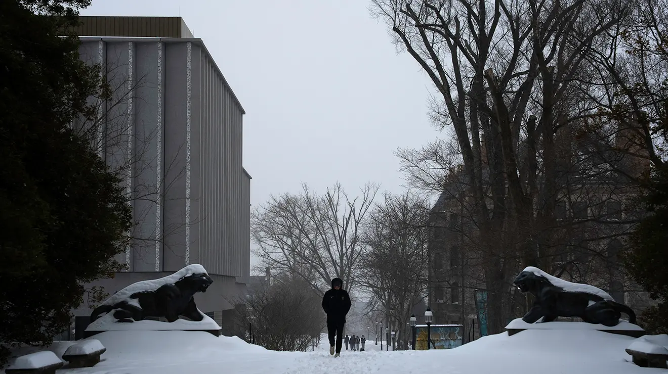 A person walks between two snow-covered tiger statues.