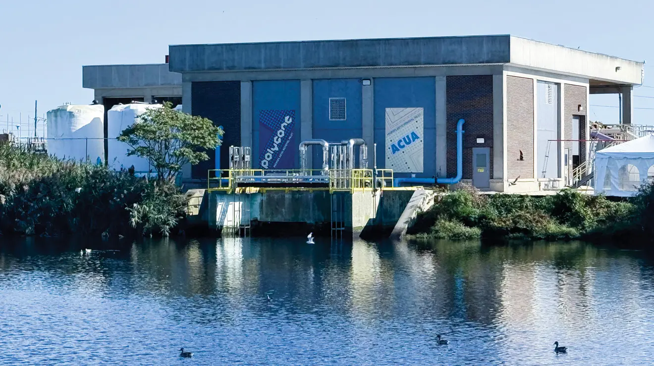 Alumni Developed a Way to Remove Microplastics From Waterways