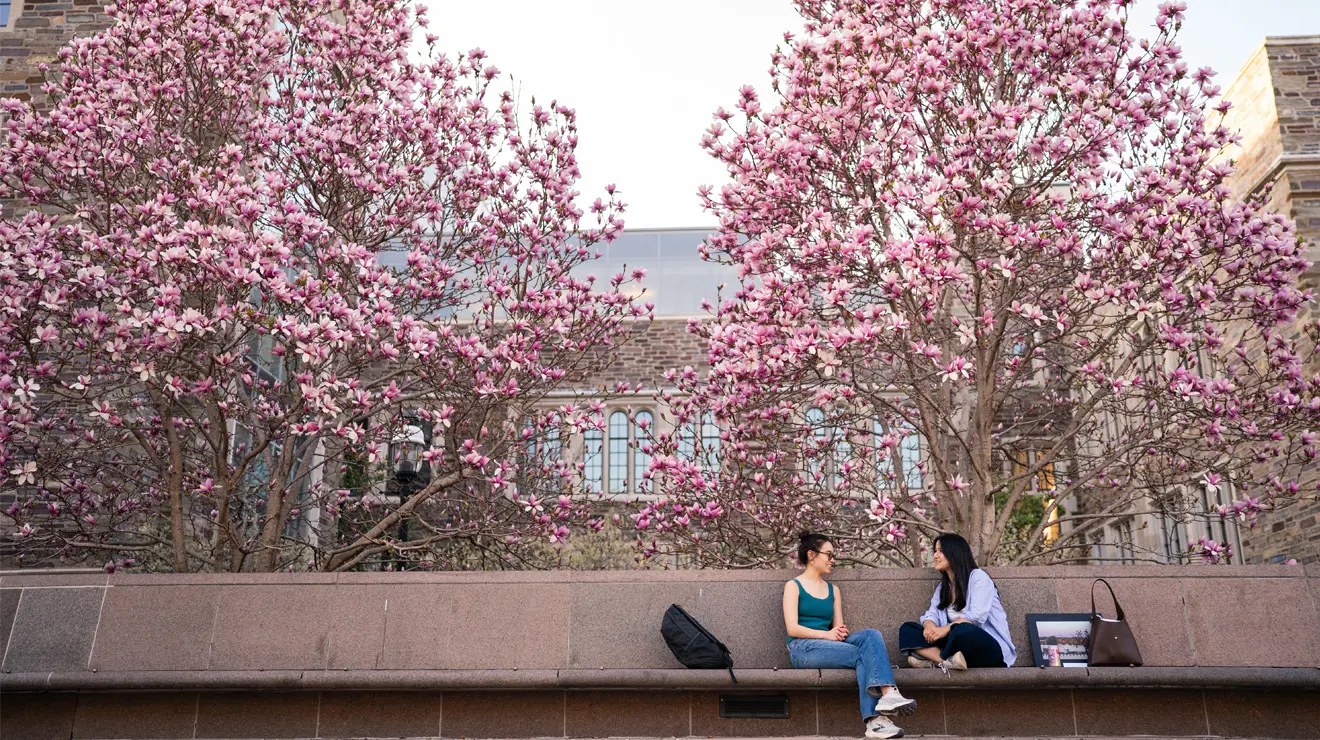 After a long winter, students enjoy a warm day in April under a blooming saucer magnolia tree in Scudder Plaza.