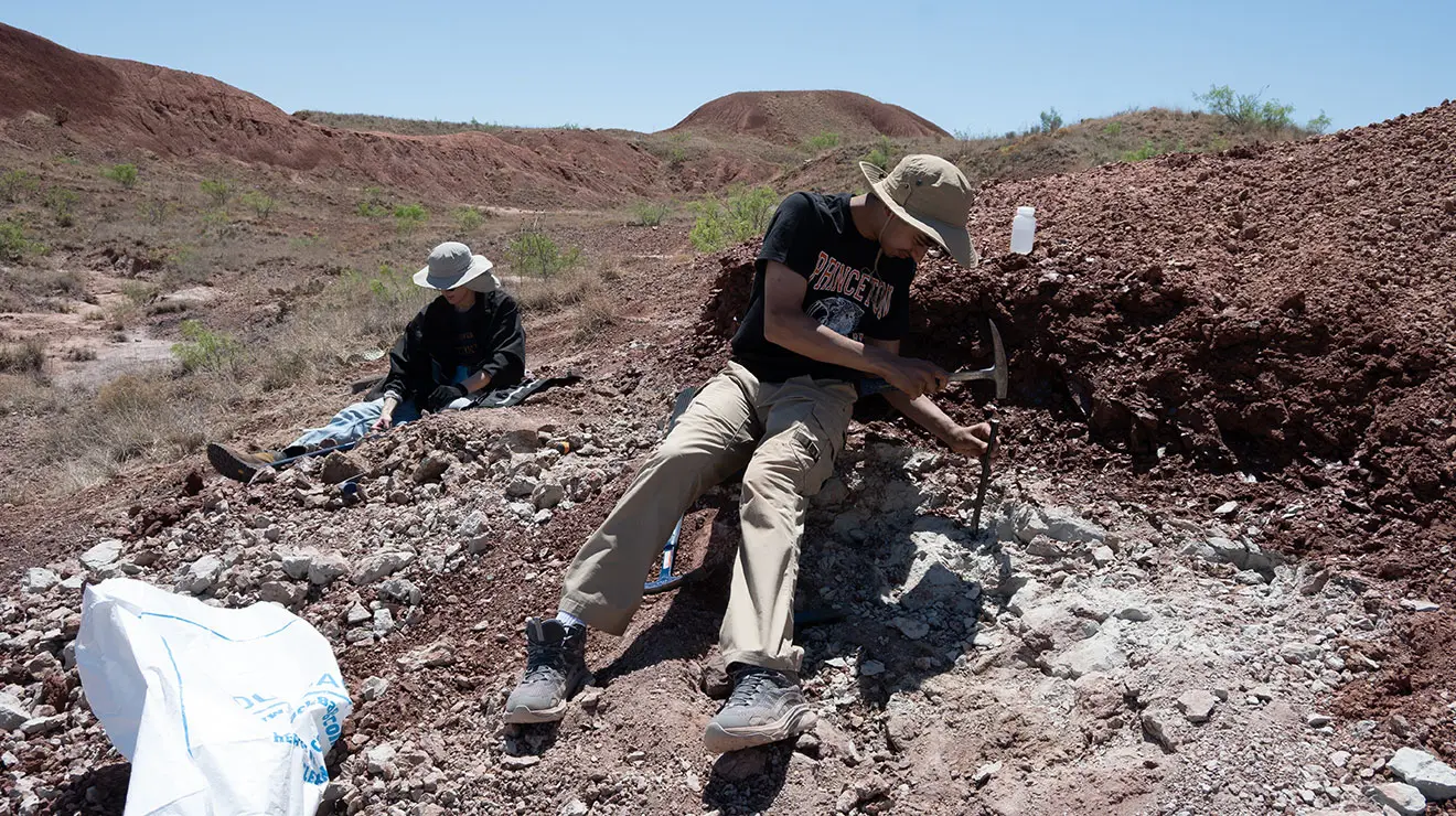 HMEI_gallery_1.jpg Tanmay Naik ’29 studies vertebrate microfossil sites in Texas as an HMEI intern for Christopher Griffin, an assistant professor of geosciences