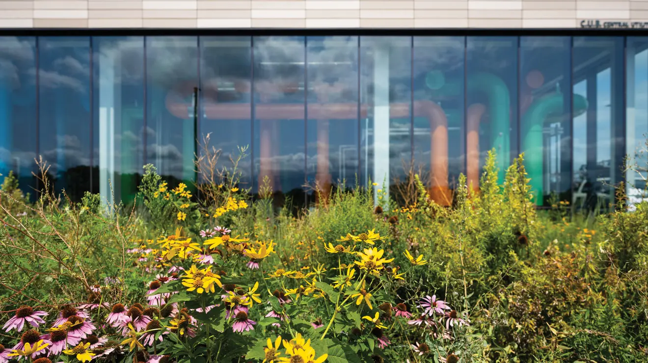 Princeton&rsquo;s Meadows Neighborhood, south of Lake Carnegie, features innovative geo-exchange heating and cooling systems, managed at the central utility building (CUB), above, and new landscaping that incorporates native perennials, foreground.