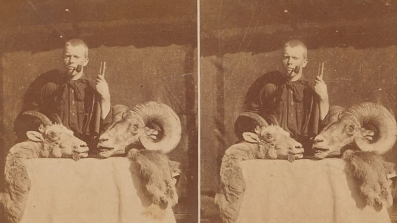 Image00014_stereoscope.jpg