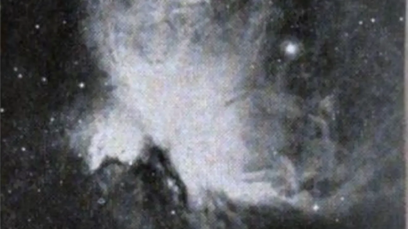 Screenshot 2024-04-11 at 12.11.55 PM.png