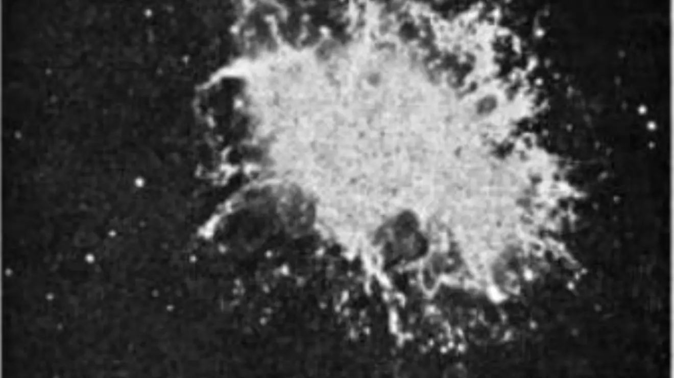 Screenshot 2024-04-11 at 3.39.12 PM.png