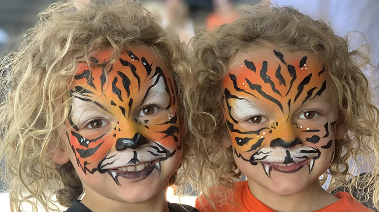 Twin Tigers.jpg