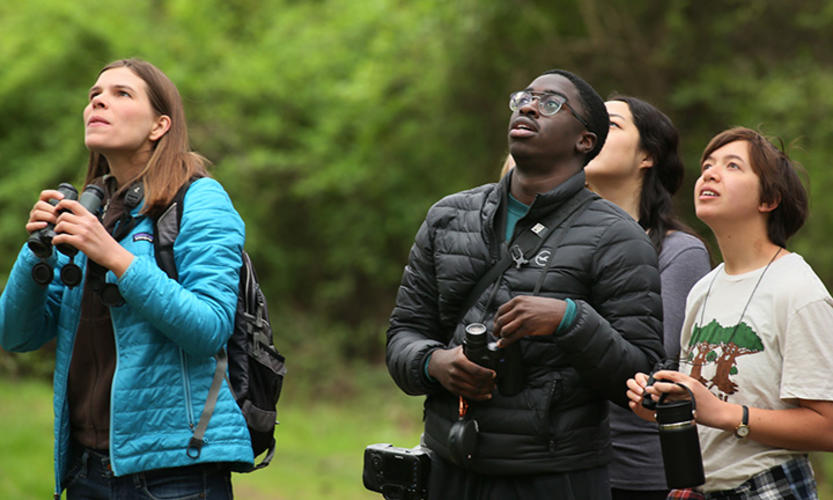 Three students and one professor are in the woods, looking up into the trees. Several hold binoculars and cameras.