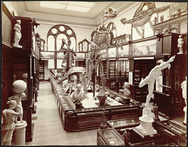 The museum in Nassau Hall.