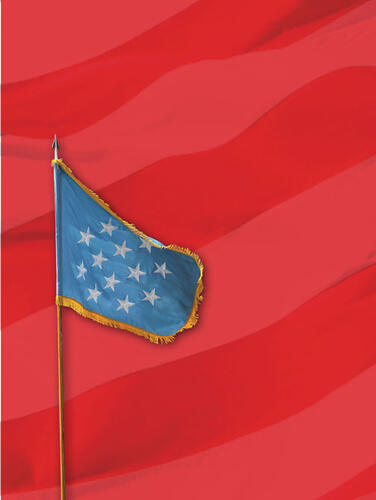 LIVE.MOB_flag.jpg Since 2006, the Medal of Honor flag has been awarded to living and primary next-of-kin recipients of the Medal of Honor.