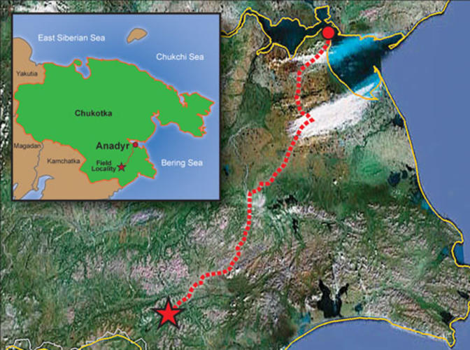 After extensive sleuthing, it was determined that the quasicrystal-bearing khatyrkite in the Florence museum came from the Listvenitovyi stream in the Koryak region of far northeastern Russia. In July 2011, Steinhardt and 12 others traveled to this remote