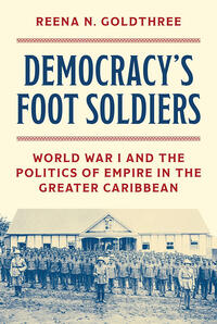 Democracy's Foot Soldiers book cover