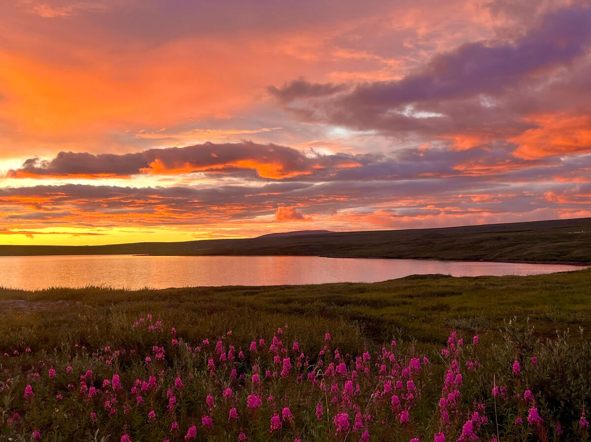 Sunrise over Toolik Lake.