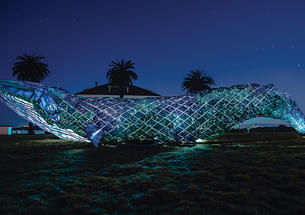A huge plastic whale, photographed at night, obscures a small building and three palm trees sticking up from the background.