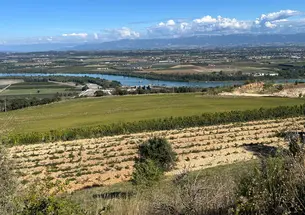 Rhône Valley in France.