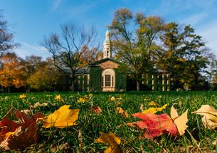 Nassau Hall during the fall with yellow and orange leaves in the foreground