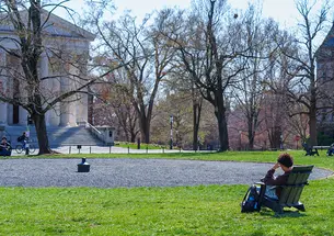A student sits in an Adirondack chair facing away from the camera and toward Cannon Green, where the top of a buried canon is visible.